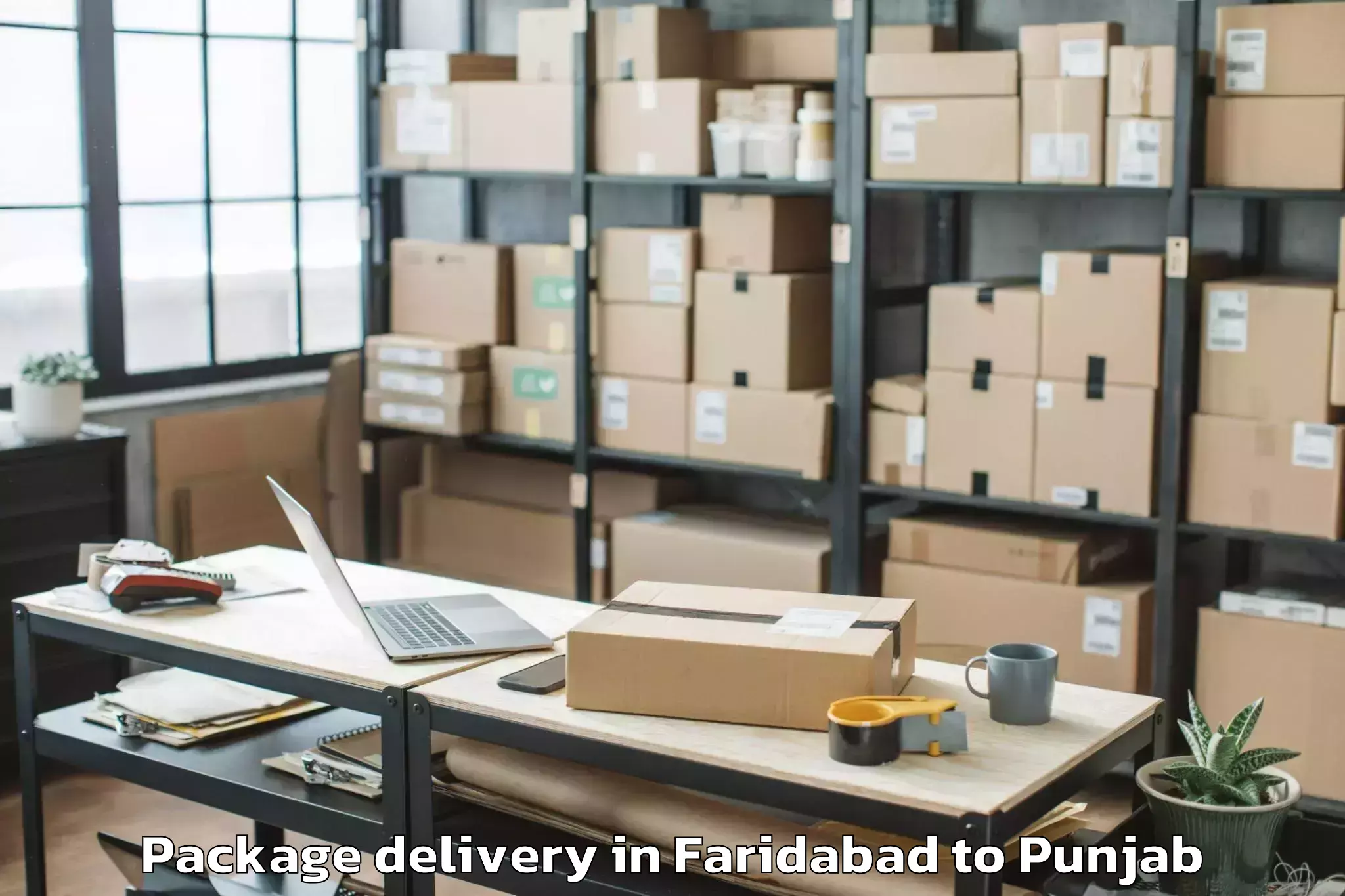 Quality Faridabad to Begowal Package Delivery